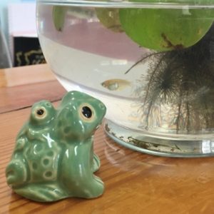 カエル