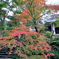 紅葉