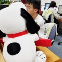 癒し